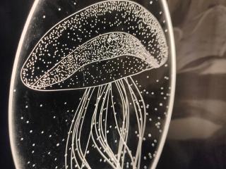 Светильник/ночник медуза
