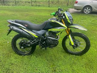 Motoland Enduro ST300 Neon 175fmm