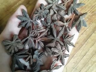 Бадьян звезды для блюд Новогоднего мыла свечей