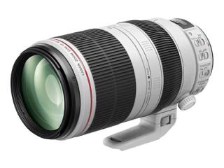 Canon EF 100-400mm F:4.5-5.6 L IS II USM