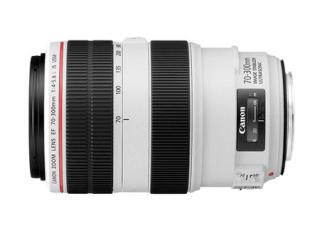 Canon EF 70-300 f/4-5.6 L IS USM