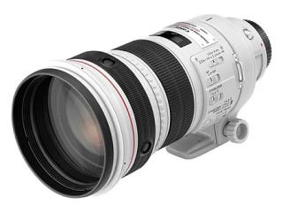 Canon EF 300 f/2.8 L IS USM