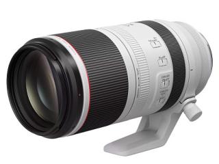 Canon RF 100-500 f/4.5-7.1 L IS USM